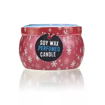   Dekorative Sojakerze in Metallhalter – Weihnachten – Zimt und Orange
