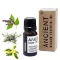 Sinnliche Ätherische Ölmischung - In Schachtel - 10ml