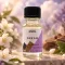 Traum Duftöl 10ml