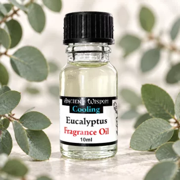 Eukalyptus Duftöl 10ml