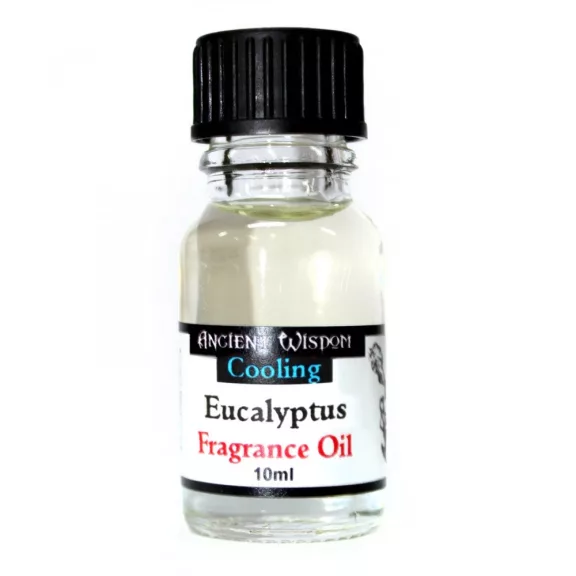 Eukalyptus Duftöl 10ml Eukalyptus Duftöl 10ml
