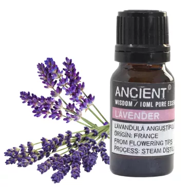 Lavendel ätherisches Öl 10ml