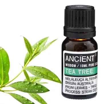 Teebaumöl 10 ml