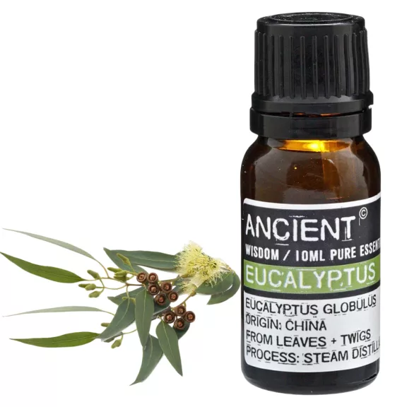 Eukalyptus Ätherisches Öl 10 ml Eukalyptus Ätherisches Öl 10 ml