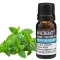 Pfefferminzöl 10 ml