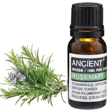Rosmarin Ätherisches Öl 10 ml