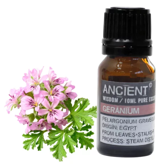 Geranie (Ägypten) Ätherisches Öl 10 ml Geranie (Ägypten) Ätherisches Öl 10 ml