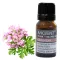Geranie (Ägypten) Ätherisches Öl 10 ml