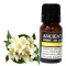 Jasmin Dilute Ätherisches Öl 10 ml