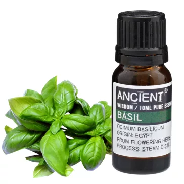 Basilikum Ätherisches Öl 10 ml