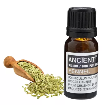Fenchel ätherisches Öl 10 ml