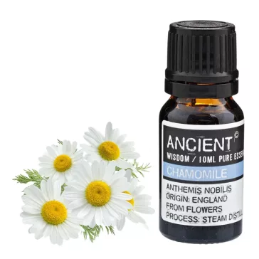 Römische Kamille (Rein) 10 ml