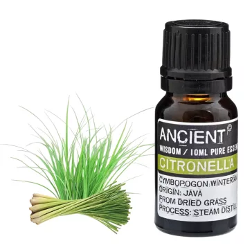 Citronella Ätherisches Öl 10 ml