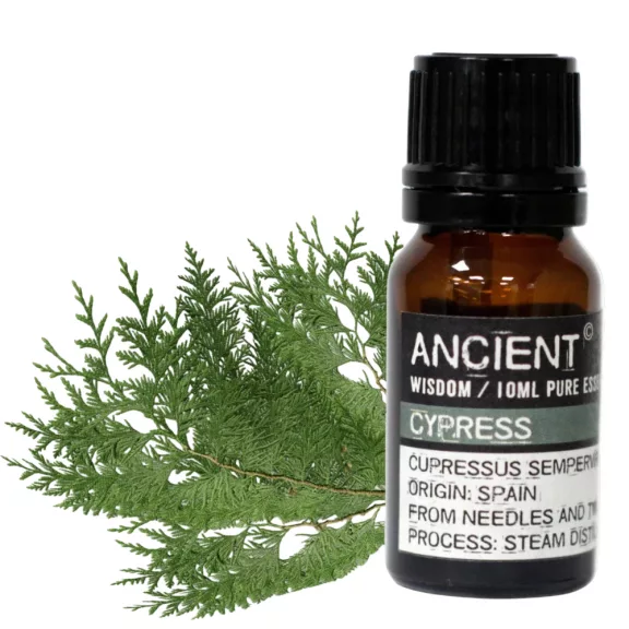 Zypressenöl 10 ml Zypressenöl 10 ml