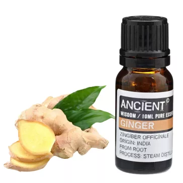 Ingwer Ätherisches Öl 10 ml