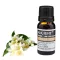 Absolutes Jasminöl 10 ml