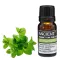 Zitronenmelissenöl 10 ml
