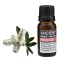 Niaouli Ätherisches Öl 10 ml
