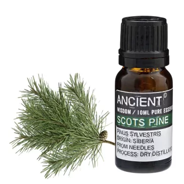 Kiefernnadel Ätherisches Öl 10 ml