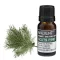 Kiefernnadel Ätherisches Öl 10 ml