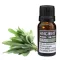 Salbei Ätherisches Öl 10 ml