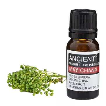 Maybaum Ätherisches Öl 10 ml