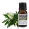 Cajaput Ätherisches Öl 10 ml