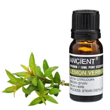 Echtes Katzenminze Ätherisches Öl 10 ml