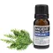 Fichtenöl 10 ml