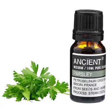 Petersilie Ätherisches Öl 10 ml
