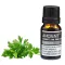 Petersilie Ätherisches Öl 10 ml