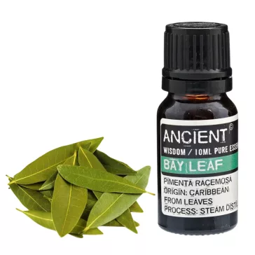 Lorbeerblatt Ätherisches Öl 10 ml