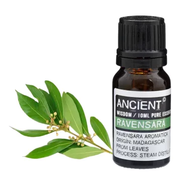 Ravensara Ätherisches Öl 10 ml