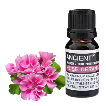 Rosenpelargonie Ätherisches Öl 10 ml