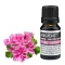 Rosenpelargonie Ätherisches Öl 10 ml