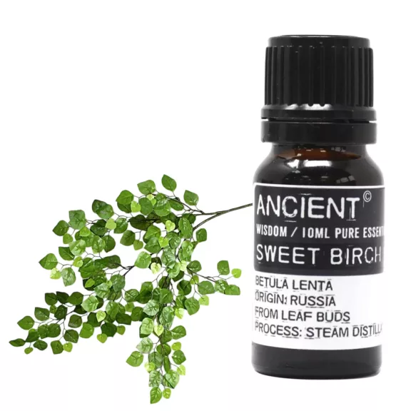 Birkenöl Ätherisches Öl 10 ml Birkenöl Ätherisches Öl 10 ml