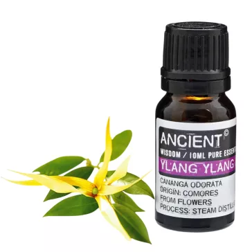 Ylang Ylang III Ätherisches Öl 10 ml