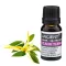 Ylang Ylang III Ätherisches Öl 10 ml