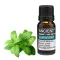 Minzöl 10 ml