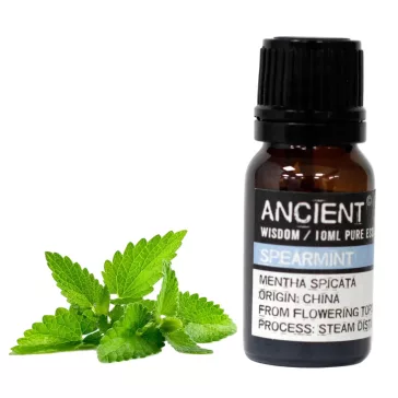 Pfefferminzöl 10 ml