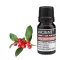 Gaultéria Ätherisches Öl 10ml