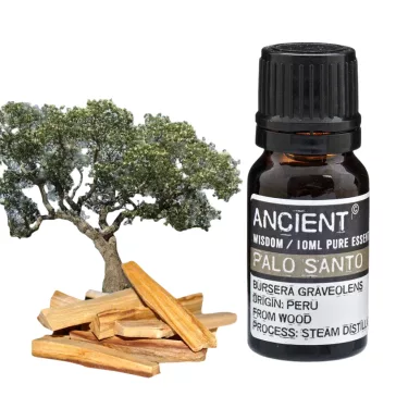 Palo Santo Ätherisches Öl 10ml