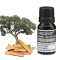 Palo Santo Ätherisches Öl 10ml