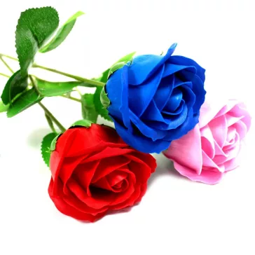 Seifenblume - Rosa Rose