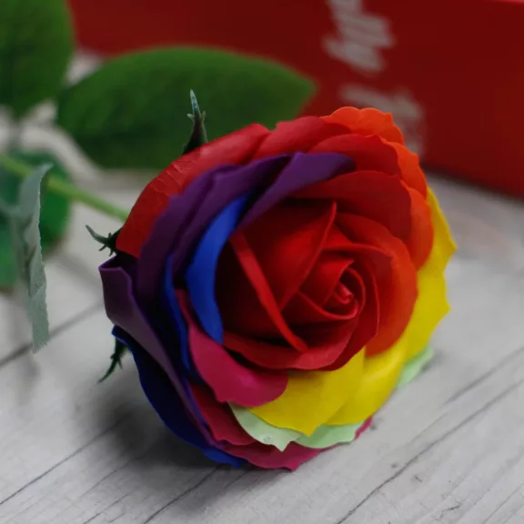 Luxus Seifenblume - Regenbogenrose