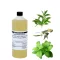 Premium-Frische-Minze-Massageöl für professionelle Masseure – 1 Liter