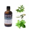 Frische Minze Massageöl Mix - 100ml