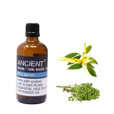 Gesundheitsstärkendes Massageöl Mix - 100ml