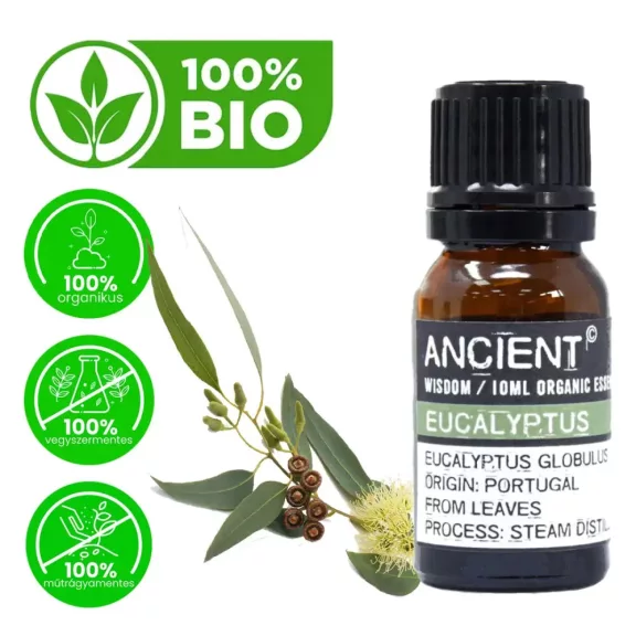 Eukalyptus Bio Ätherisches Öl 10ml Eukalyptus Bio Ätherisches Öl 10ml