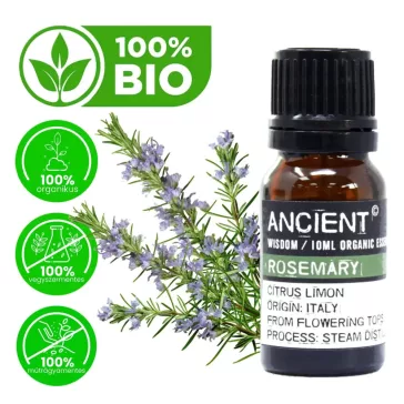 Rosmarin Bio ätherisches Öl 10ml